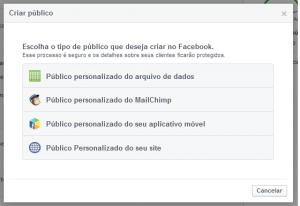 público personalizado no facebook