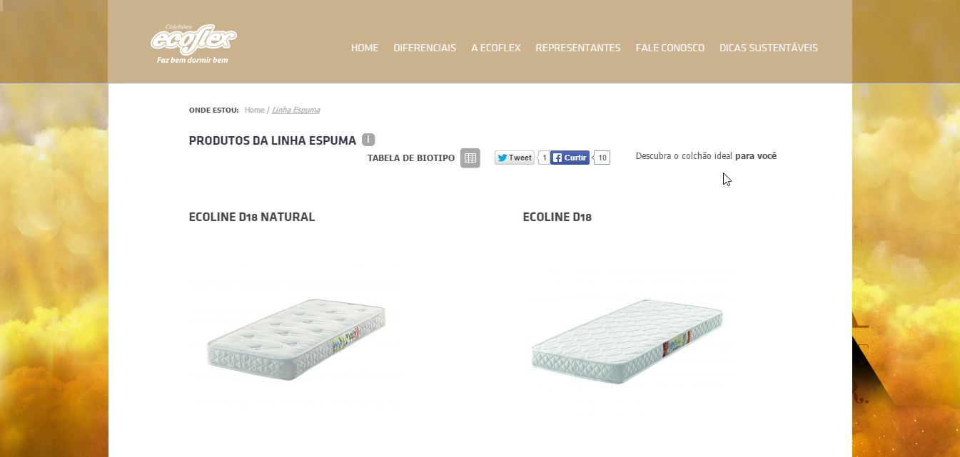 site não responsivo desktop